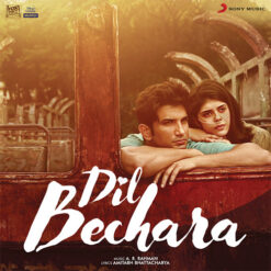 Dil Bechara notes