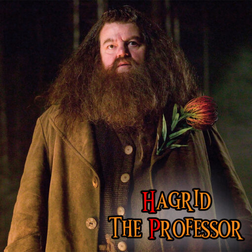 Hagrid The Professor