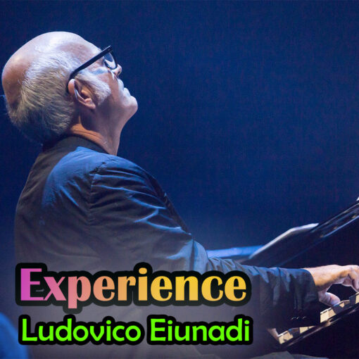 Experience
