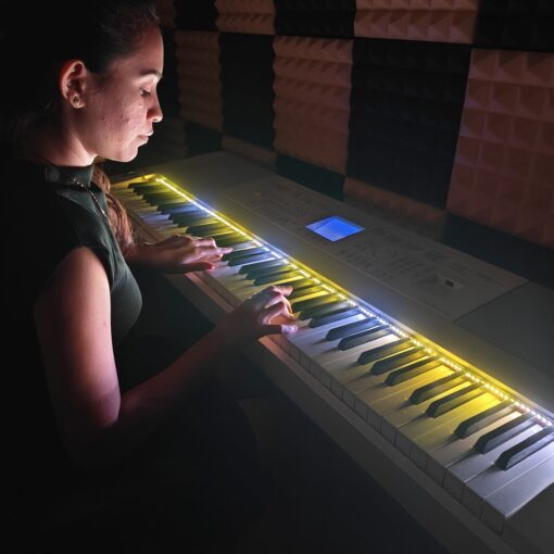 Philic Piano LED Controller - Image 3