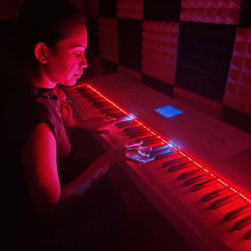 Philic Piano LED Controller - Image 9