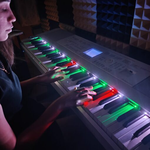 Philic Piano LED Controller - Image 13