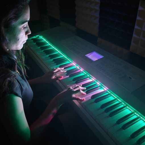 Philic Piano LED Controller - Image 15