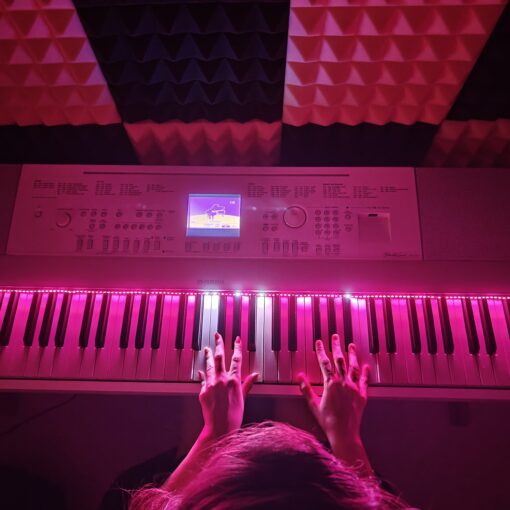 Philic Piano LED Controller - Image 17