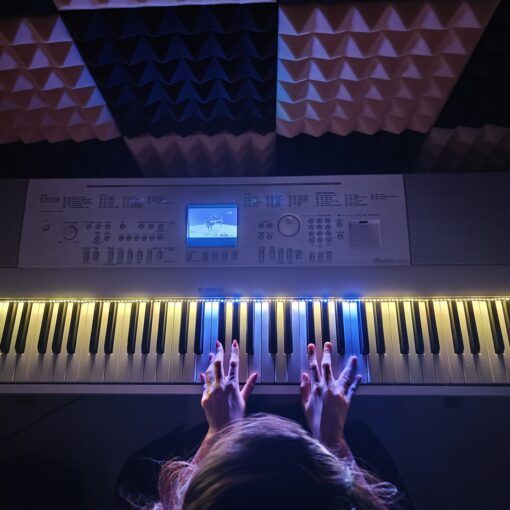 Philic Piano LED Controller - Image 18