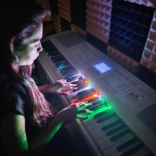 Philic Piano LED Controller - Image 24