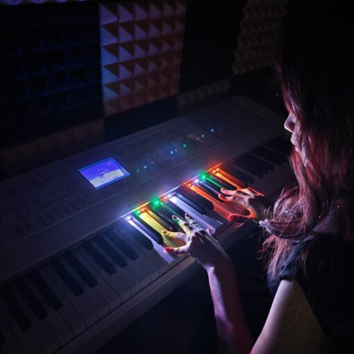 Philic Piano LED Controller - Image 25