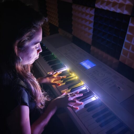Philic Piano LED Controller - Image 26
