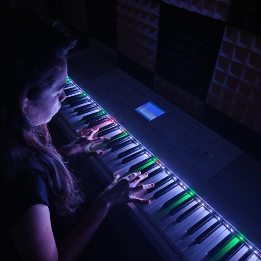 Philic Piano LED Controller - Image 27