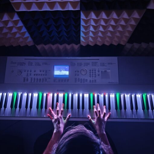 Philic Piano LED Controller - Image 28